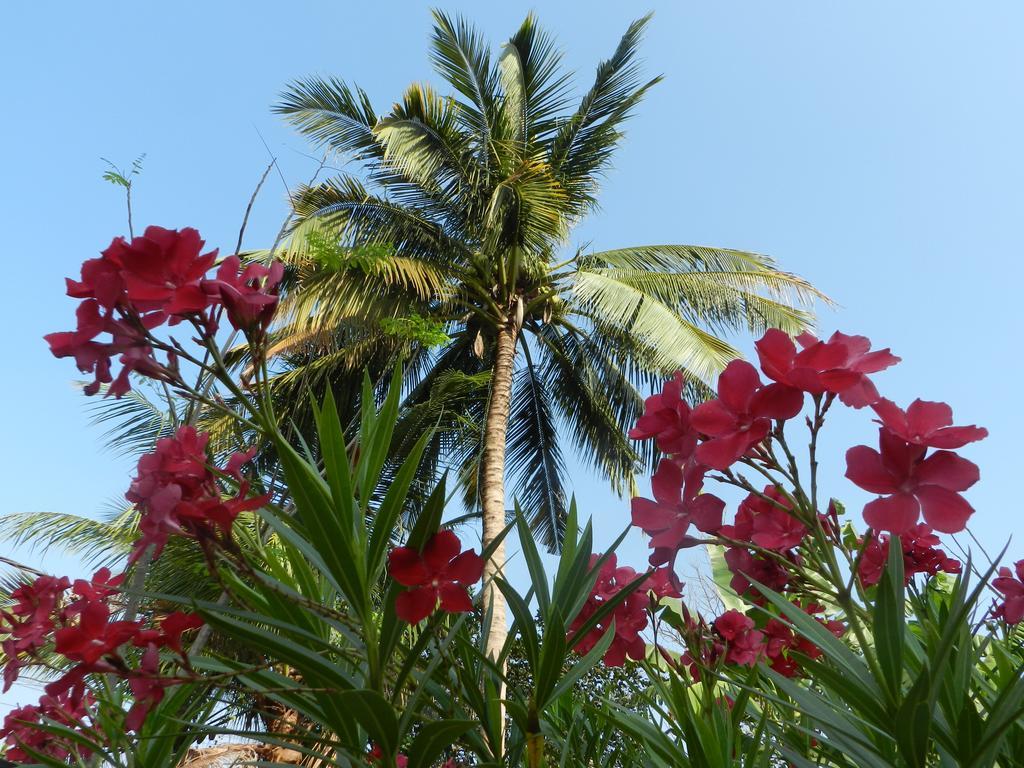 Villa Nissa سيام ريب المظهر الخارجي الصورة